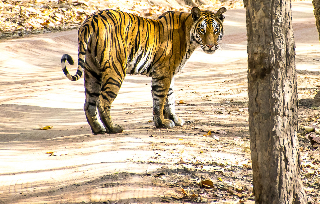 Webdesign Service - Website maken - background staand2 786